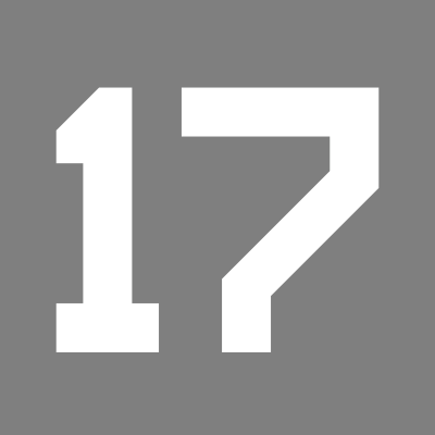 17 icon